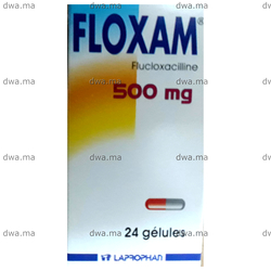 medicament FLOXAM500 mgBoîte de 24 maroc