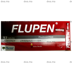 medicament FLUPEN500mgBoite de 12 gélules maroc