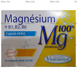 medicament MAGNÉSIUM MG100Boite de 24 maroc
