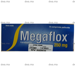 medicament MEGAFLOX250 MGBoîte de 10 maroc