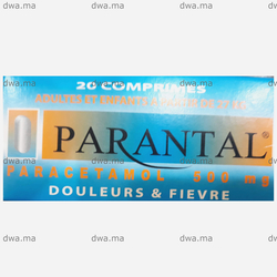 medicament PARANTAL500 MGBoîte de 20 maroc