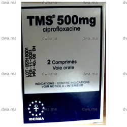 medicament TMS500 mgBoîte de 2 comprimés maroc