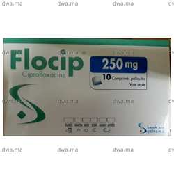 medicament FLOCIP500 MGBoîte de 10 maroc